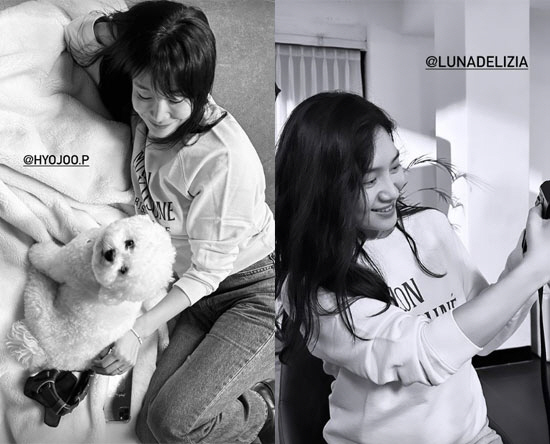 송혜교 집에서 '21년 절친' 모임 또? 박효주X최희서X박솔미 '내추럴'…