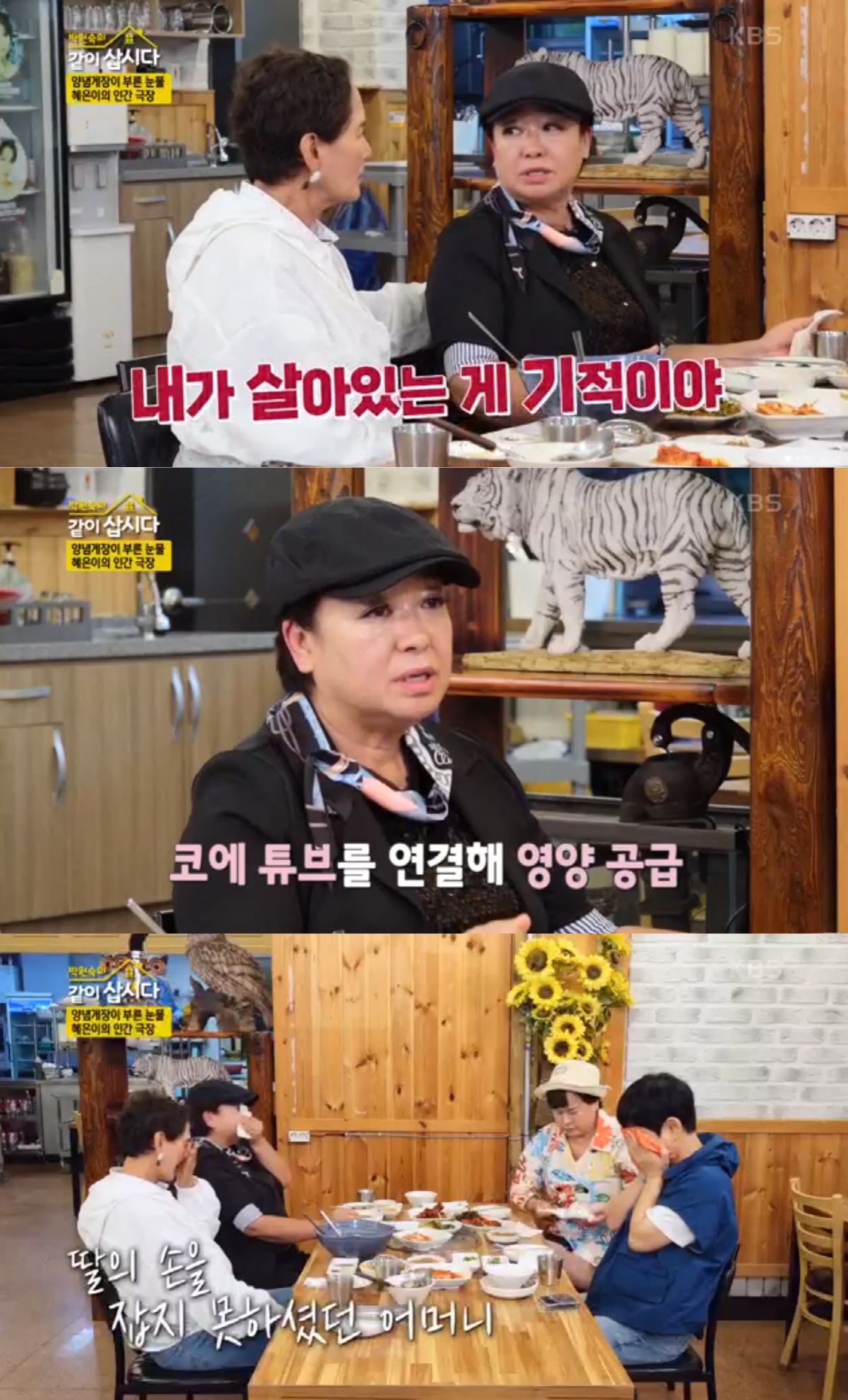 혜은이 “母 아파트 뺏기고 숙박업소 전전..살아있는 게 기적” 오열 (같…