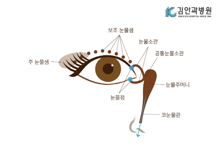 찬바람 불면 주루룩 '눈물흘림증', 원인별 치료법 찾아야