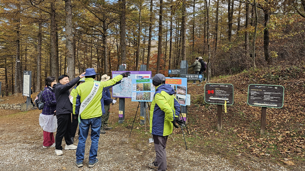 15회 하이원 하늘숲길 트레킹 패스티벌 폐막…"매번 새롭고, 설레요"