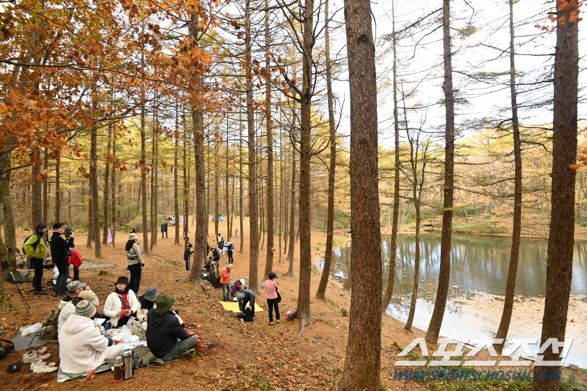 15회 하이원 하늘숲길 트레킹 패스티벌 폐막…"매번 새롭고, 설레요"