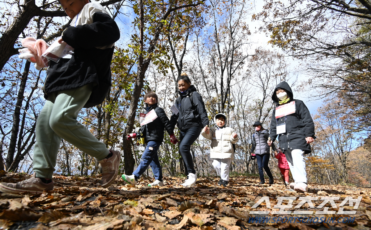 15회 하이원 하늘숲길 트레킹 패스티벌 폐막…"매번 새롭고, 설레요"