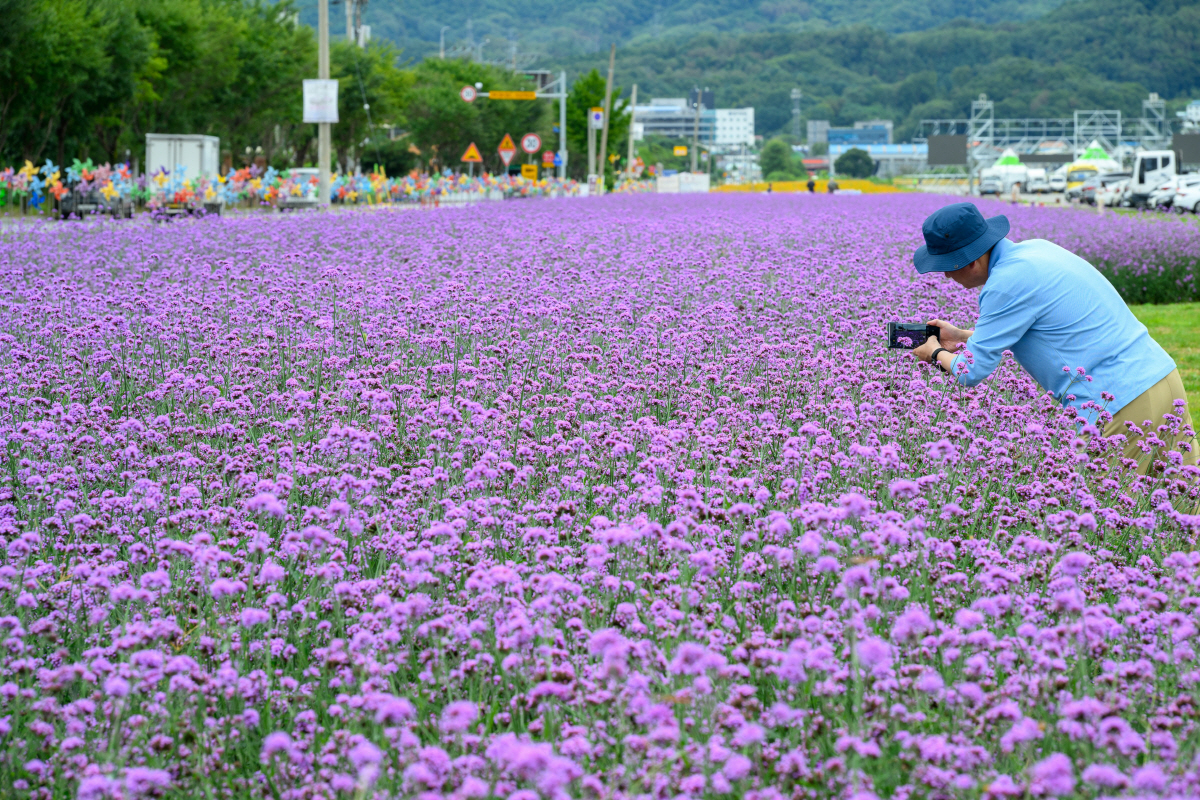 관광과 건강이 만나는 충북 제천… '즐거운 눈, 신난 입' 특별한 여행의…