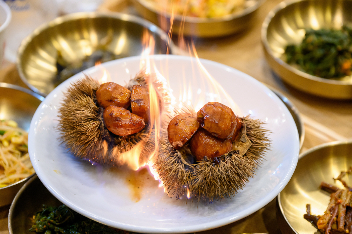 관광과 건강이 만나는 충북 제천… '즐거운 눈, 신난 입' 특별한 여행의…