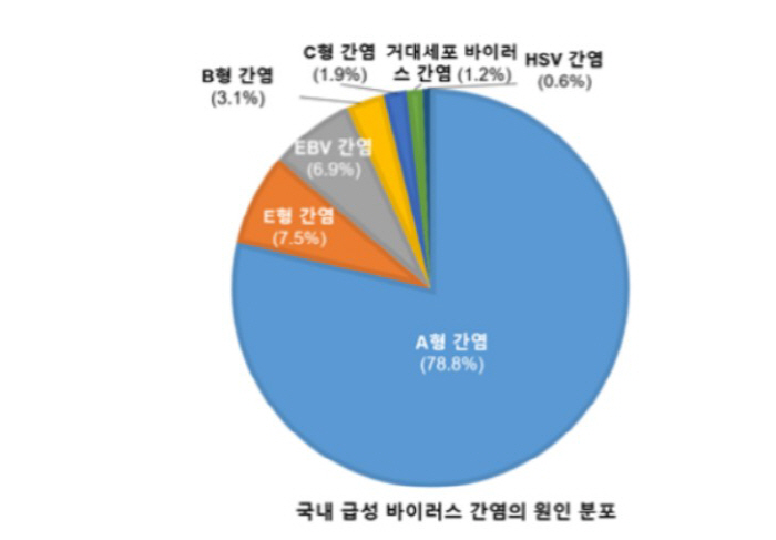 "국내 가장 흔한 급성 바이러스 간염은 A형과 E형"