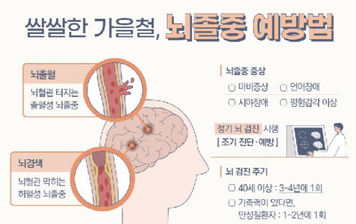 '침묵의 살인자' 뇌졸중, 확실한 예방은 정기적 '뇌검진'