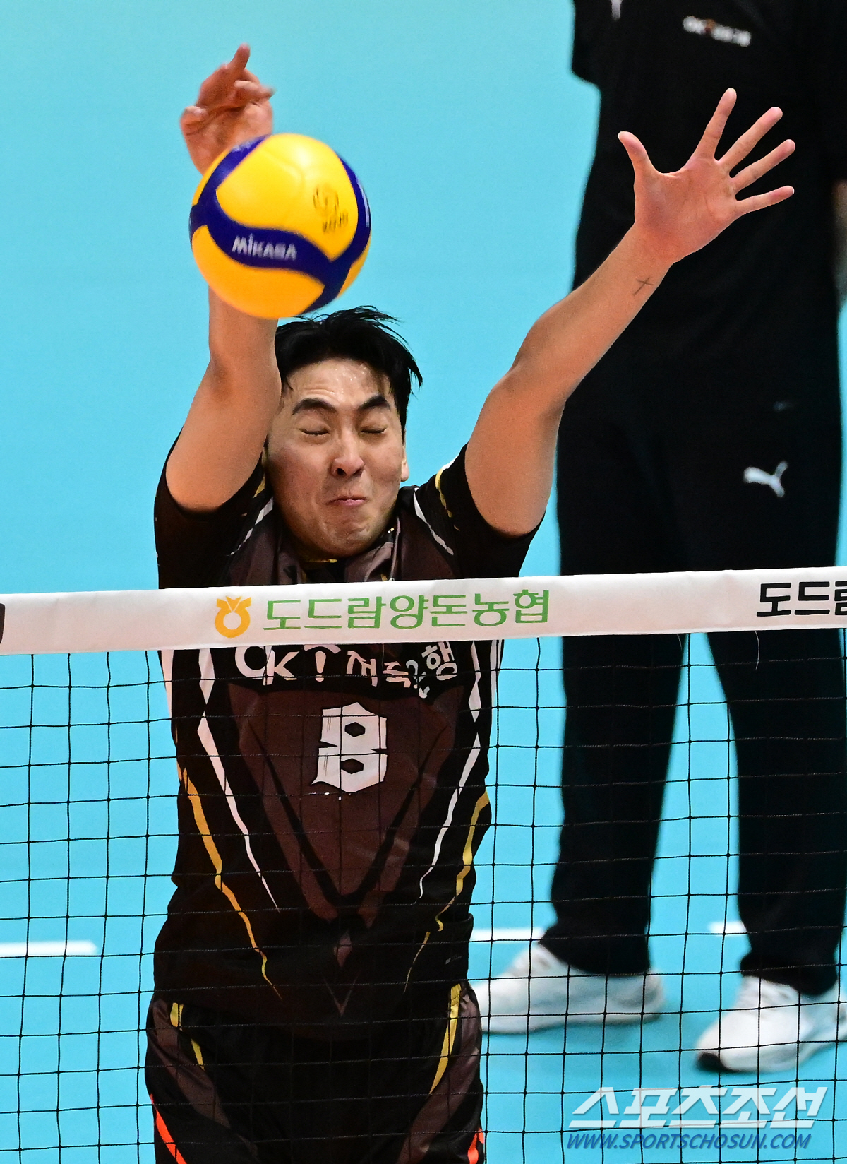 '일본 스타일 아니야.' OK 색깔 찾는 일본인 감독. '강하기만 한 서…