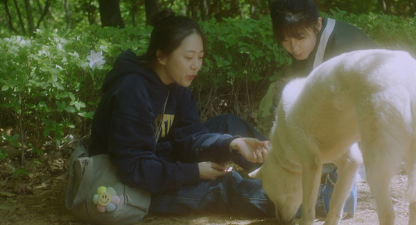 [SC인터뷰] "진심 전달됐으면"…'학폭 의혹' 박혜수, '너와 나'로 …