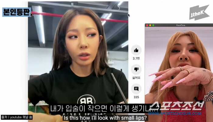 [SC이슈]홍수아→장영란→제시, '성형 고백' 스타★들의 '외모 변천사'…