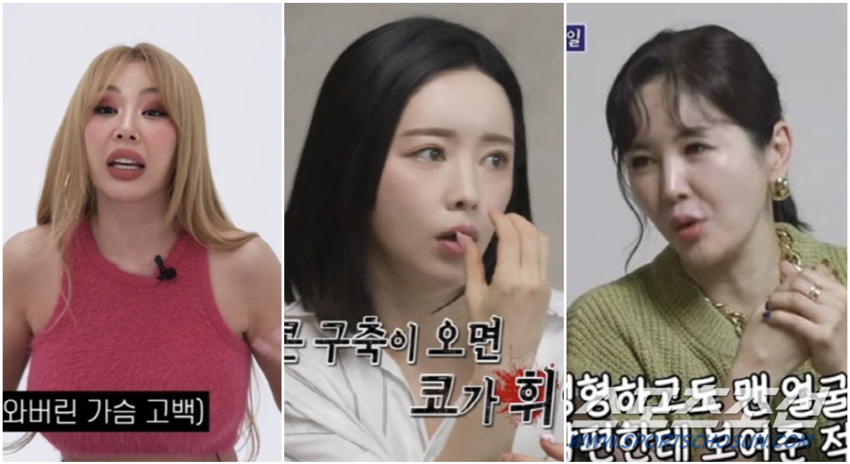 [SC이슈]홍수아→장영란→제시, '성형 고백' 스타★들의 '외모 변천사'…