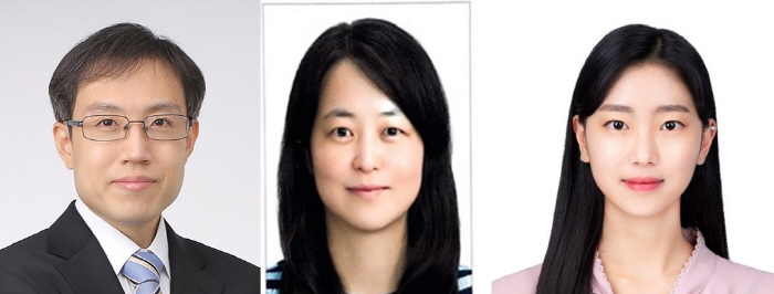 줄기세포로 뼈 재생 촉진하는 新 나노입자 개발
