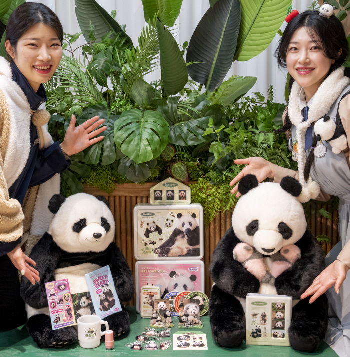 "푸바오 굿즈, 여의도 뜬다"…에버랜드, 더현대 서울에 팝업 스토어 오픈