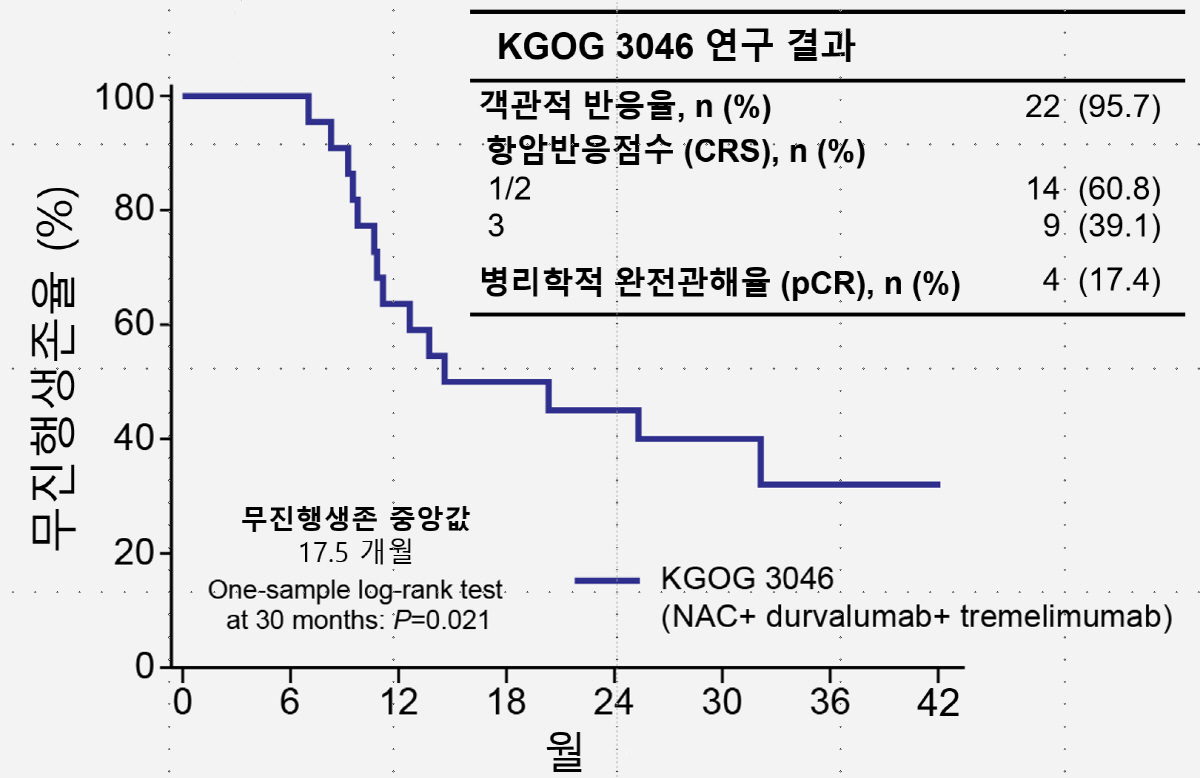 면역항암제 투여로 난소암 치료 효과 높여…기존 대비 무진행 생존 1.5배…