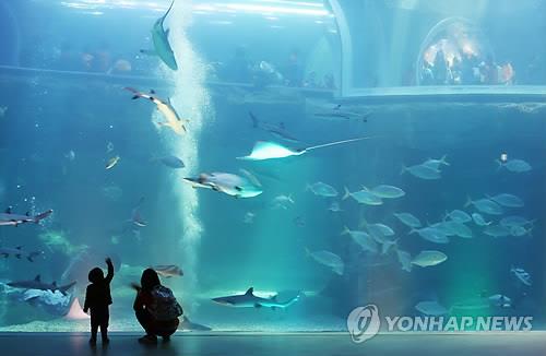 [연합뉴스 자료사진]