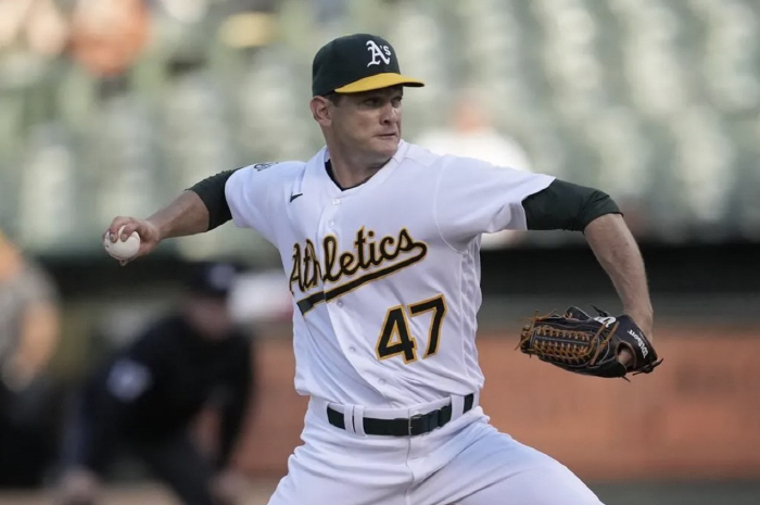 "페디, 켈리처럼 성공할수 있다" MLB.com, 20승-2.00-200…