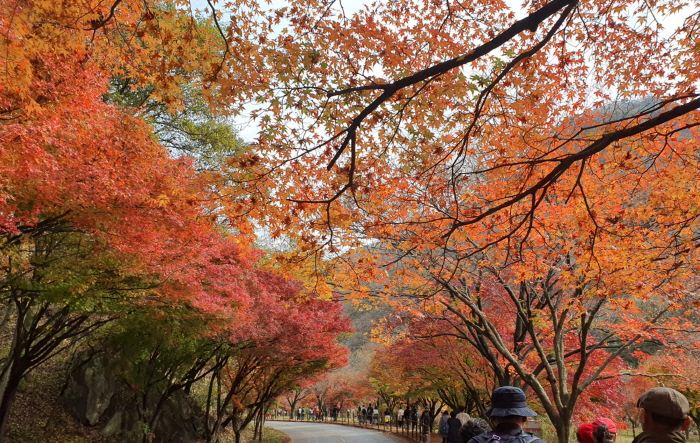 안전한 가을 '단풍 산행' 요령 10가지