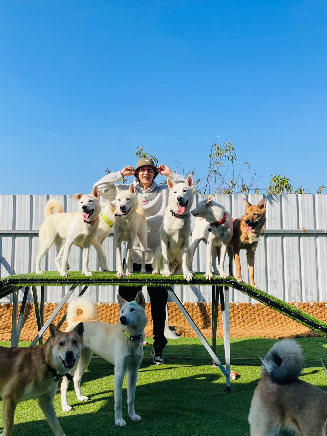 이기우, ♥아내와 유기견 사료 기부·봉사..꾸준한 선행 '훈훈'