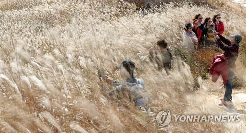 [연합뉴스 자료사진]