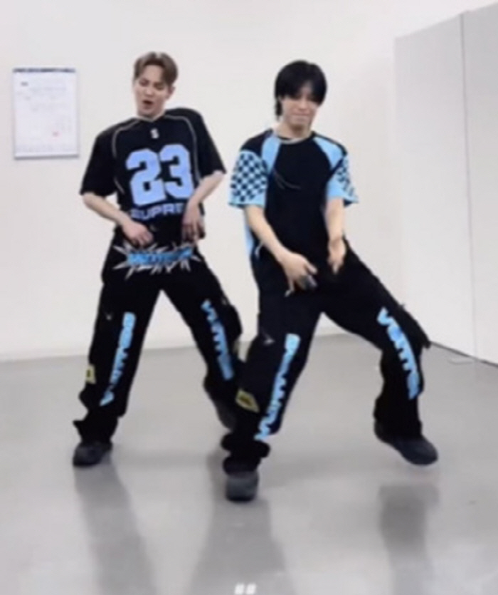 BTS서→아이브까지..."독도는 우리땅" 챌린지 SNS 강타, 왜? [S…