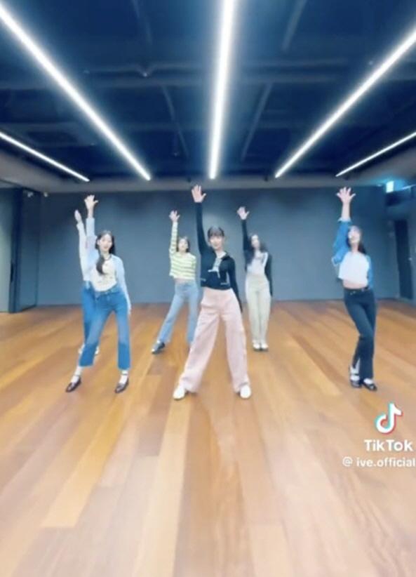 BTS서→아이브까지..."독도는 우리땅" 챌린지 SNS 강타, 왜? [S…