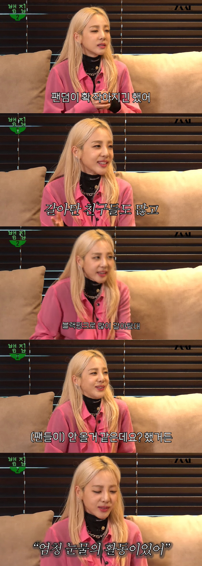 산다라박 "2NE1 팬들, 해체 후 블랙핑크로 갈아타…솔로는 눈물의 활동…