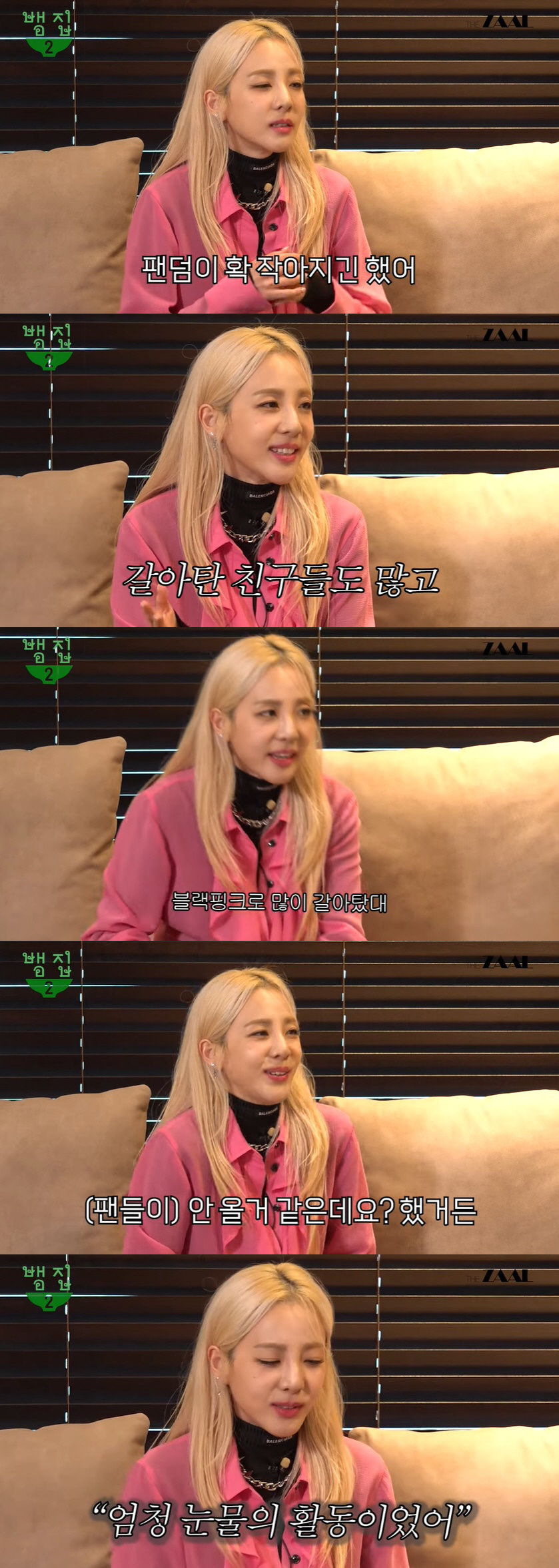 산다라박 "2NE1 팬들, 해체 후 블랙핑크로 갈아타…솔로는 눈물의 활동…