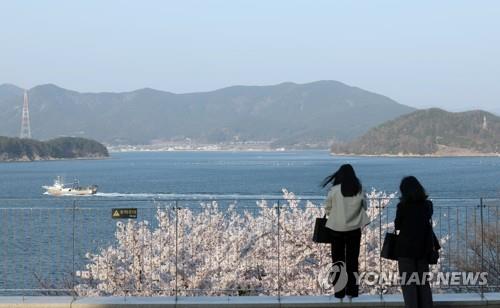 [연합뉴스 자료사진]