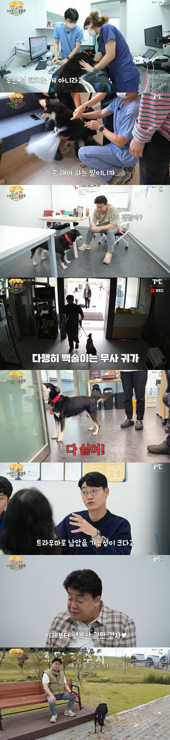 백종원이 구조한 犬 백술이, 심각한 개춘기 "상습 입질에 가출 소동까지"…