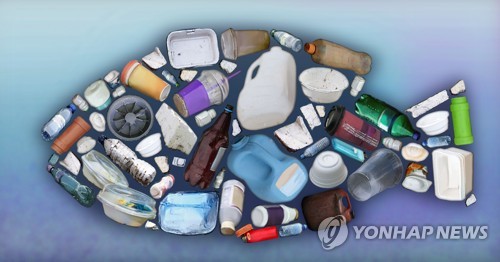 연합뉴스 자료 일러스트