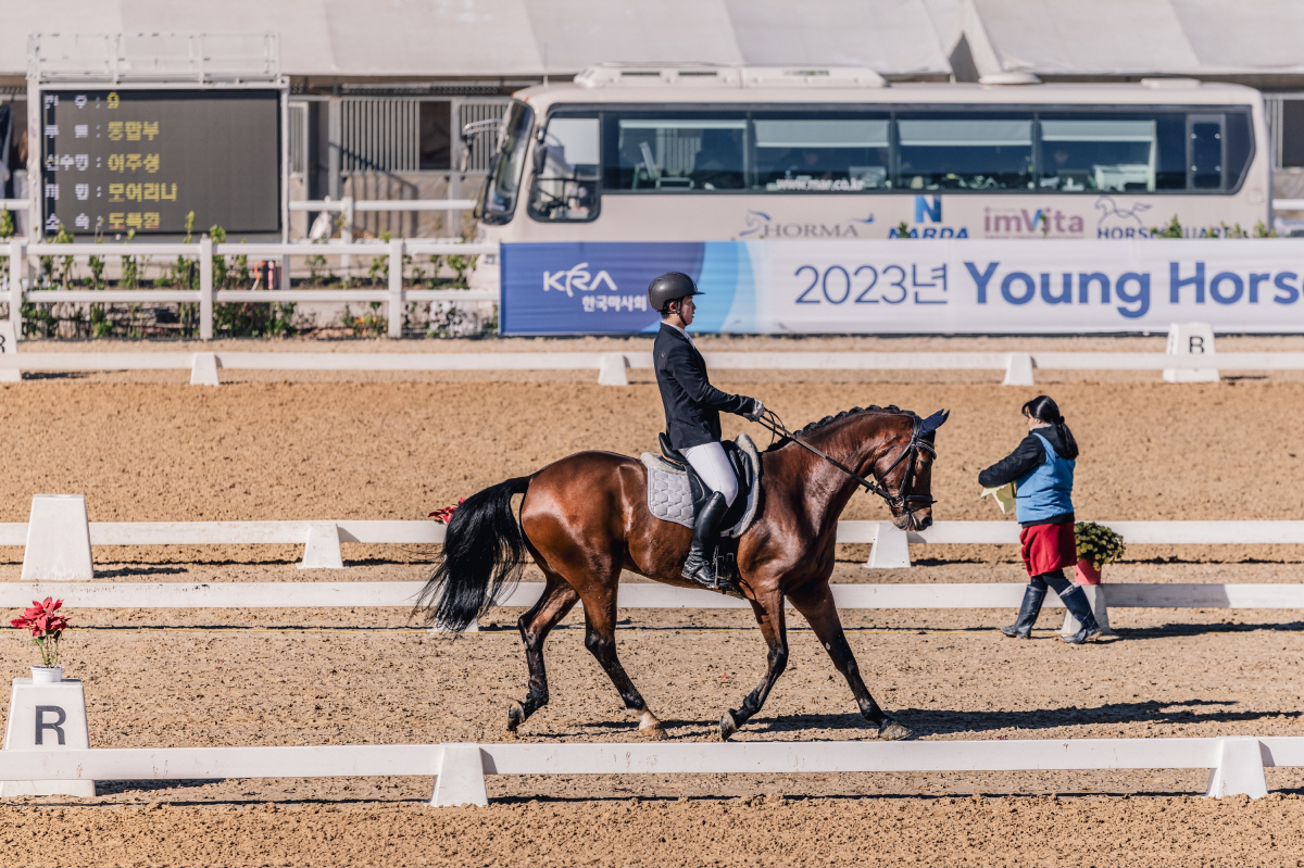 [경마] 최고의 국산 승용마, 주인 찾았다 '2023 영호스컵'-'품평회…