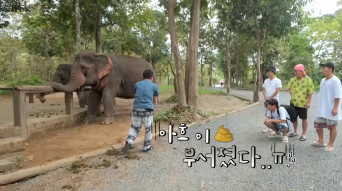 [SC리뷰]김준호, ♥김지민에 손뽀뽀 약속했는데…맨손으로 코끼리 똥 치웠…