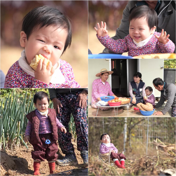'홍현희♥' 제이슨父 900평 유기농 밭,크기에 깜짝..손자 준범 먹방에…