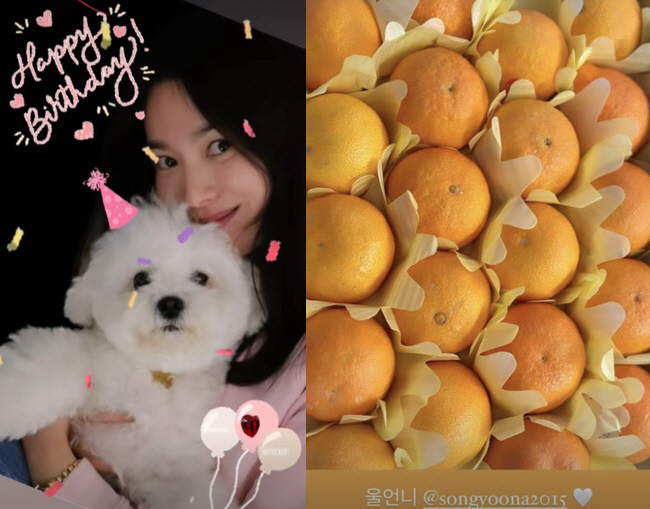 송혜교, 42번째 생일에 송윤아에 받은 선물 자랑 "울 언니♥"