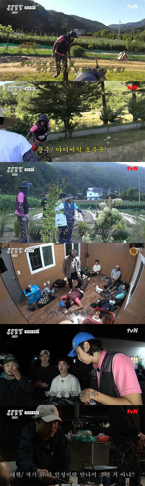 차태현, 남들보다 빠른 '칼퇴근 본능'…이광수 "누구한테 쫓겨요?"(콩콩…