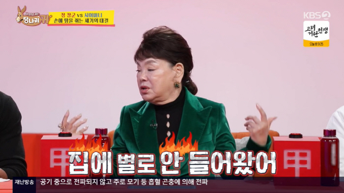 김수미 "며느리 서효림 집, 결혼 4년차인데 딱 3번 갔다" ('당나귀 …