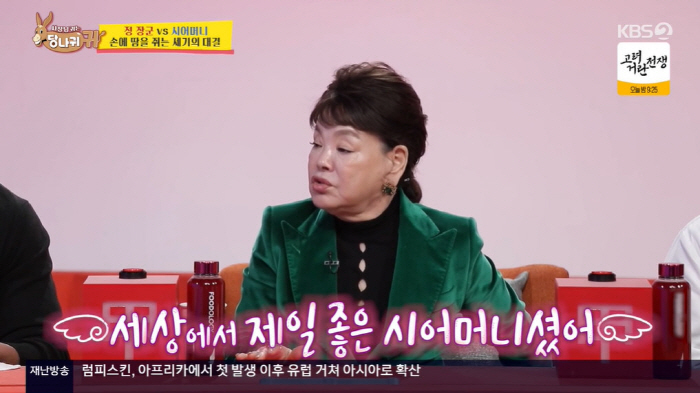 김수미 "며느리 서효림 집, 결혼 4년차인데 딱 3번 갔다" ('당나귀 …