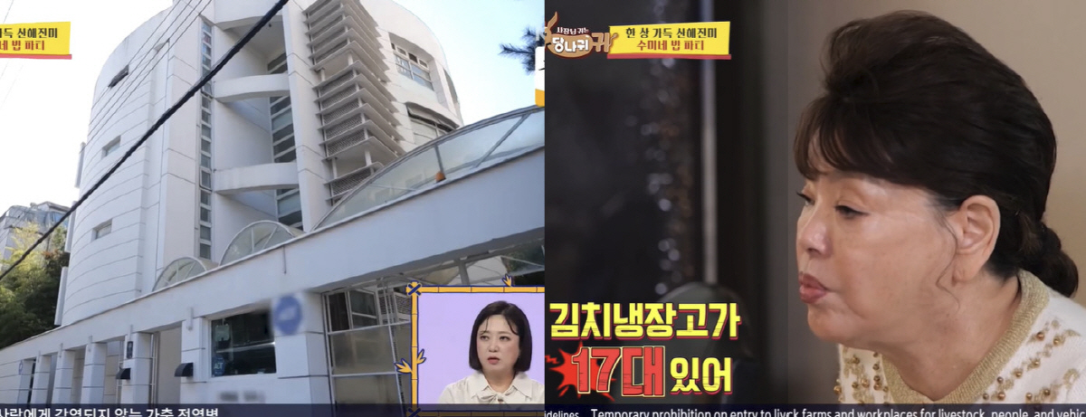 김수미, '그림+작품' 갤러리 같은 집 공개 "냉장고만 17대" ('당나…