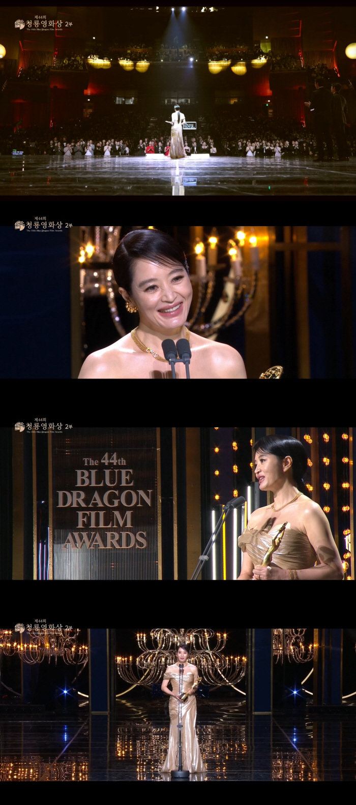 [청룡영화상] "후회 없이, 충실했다"…30번째 청룡, 김혜수다운 더할 …