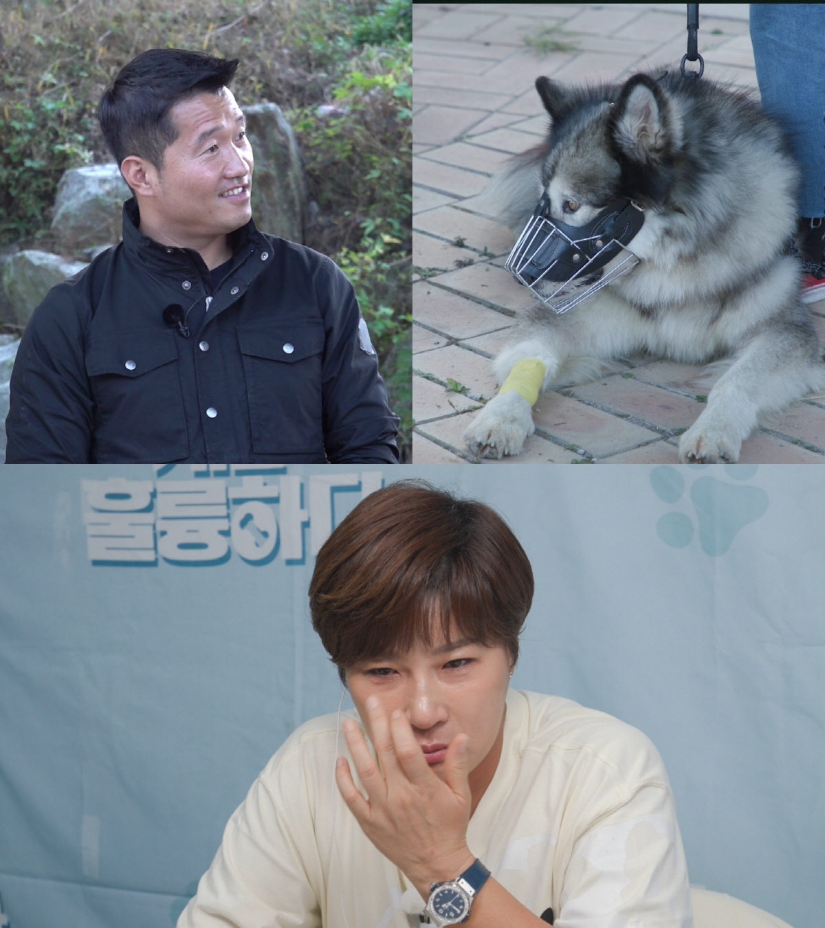 강형욱 "반려견 감기에도 종류있어..독감 걸리면 밥도 안먹어"('개훌륭'…