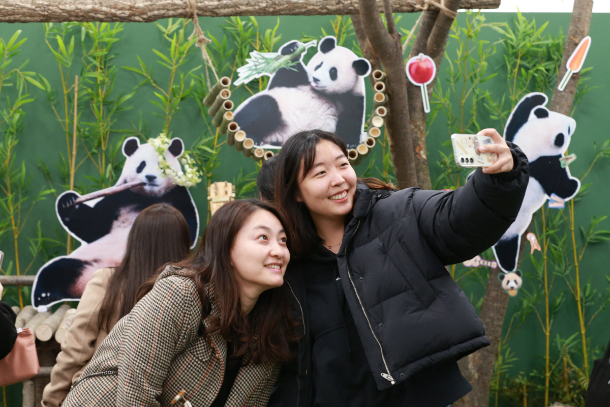 [비즈브리핑]식을 줄 모르는 '푸바오' 인기…팝업부터 콜라보까지 관심 폭…