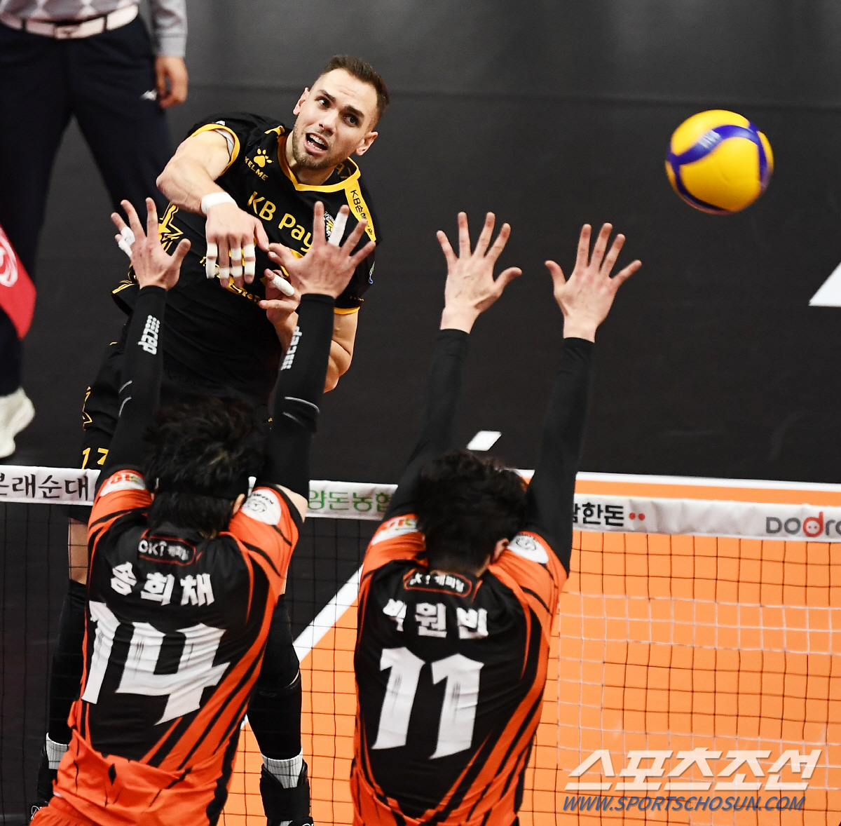 비예나 혼자 30점 그러나... KB손해보험 속절없는 11연패. OK금융…