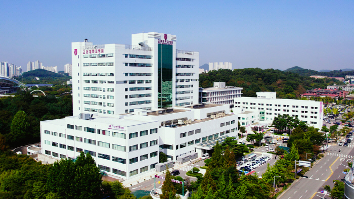 고려대 안산병원 30일 크론병·궤양성 대장염 건강강좌 개최