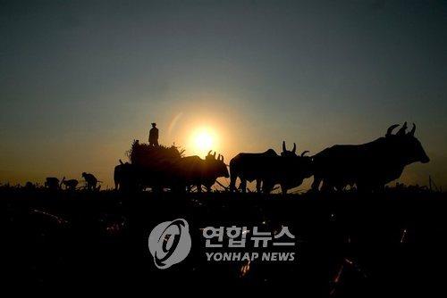 [EPA=연합뉴스]