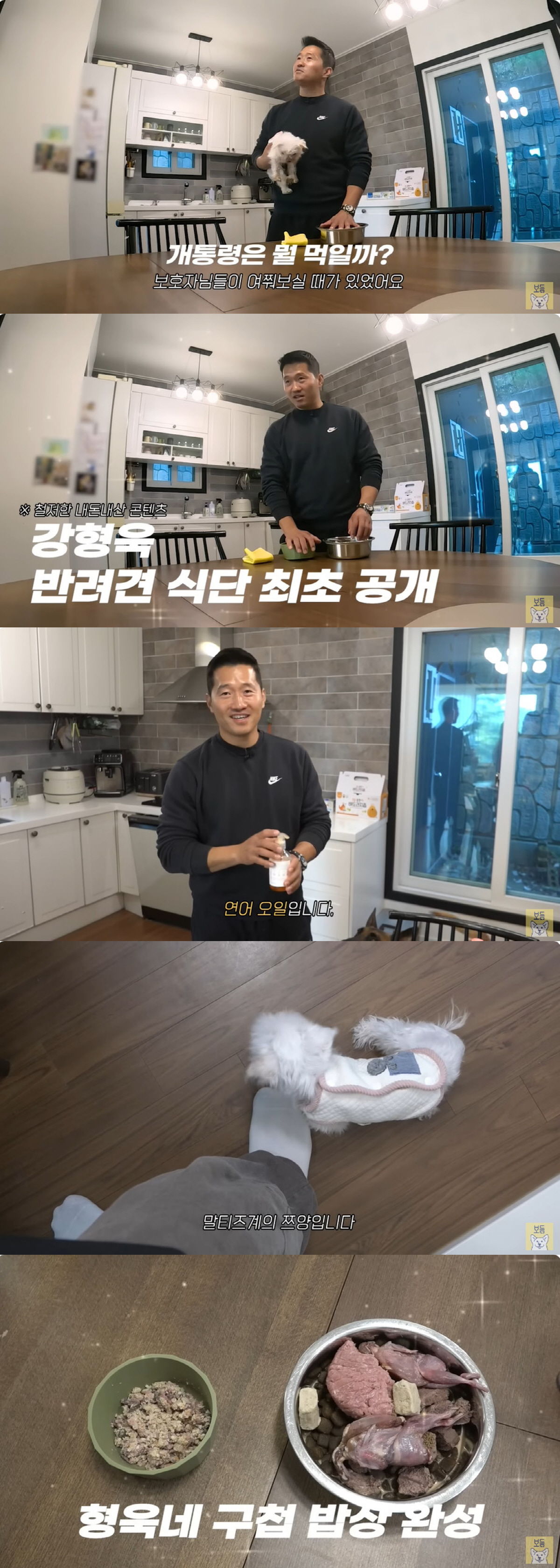 강형욱, 반려견 식비만 한 달에 351만 원 "하루 한끼만, 나처럼 주면…