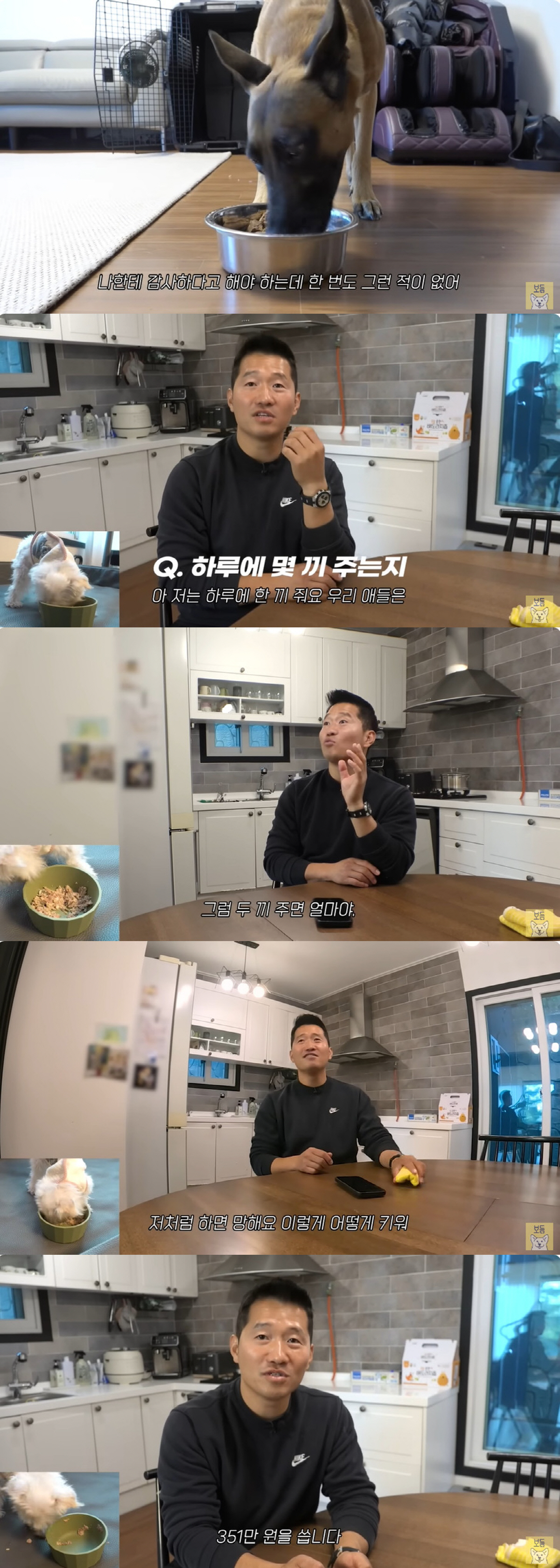 강형욱, 반려견 식비만 한 달에 351만 원 "하루 한끼만, 나처럼 주면…