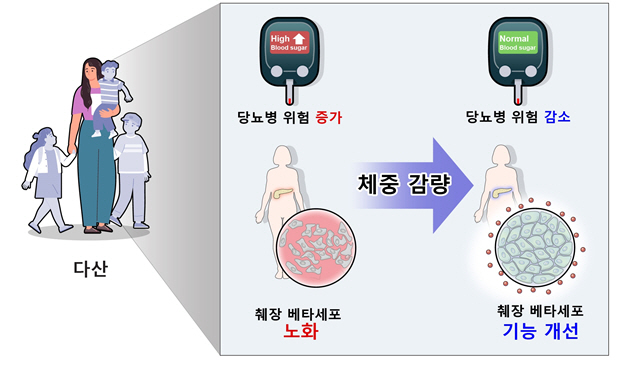 "아이 여럿 출산하더라도 체중감량하면 당뇨병 위험 낮아"