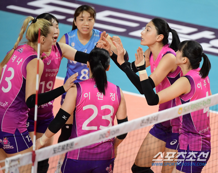 옐레나&김연경 쌍포 제대로 터졌다…선두 흥국생명, 4일 전 풀세트 기억 …
