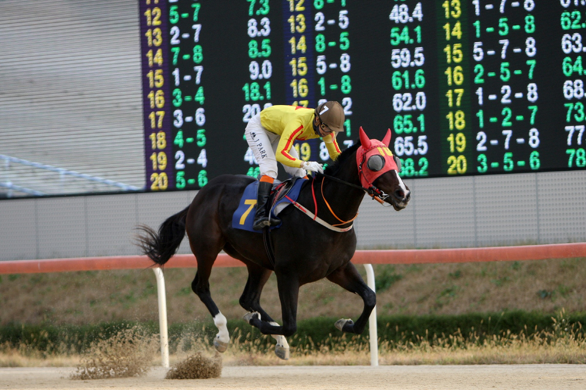 [경마]렛츠런파크 부산경남, 10일 시리즈 최종전 '브리더스컵 루키& 퀸…