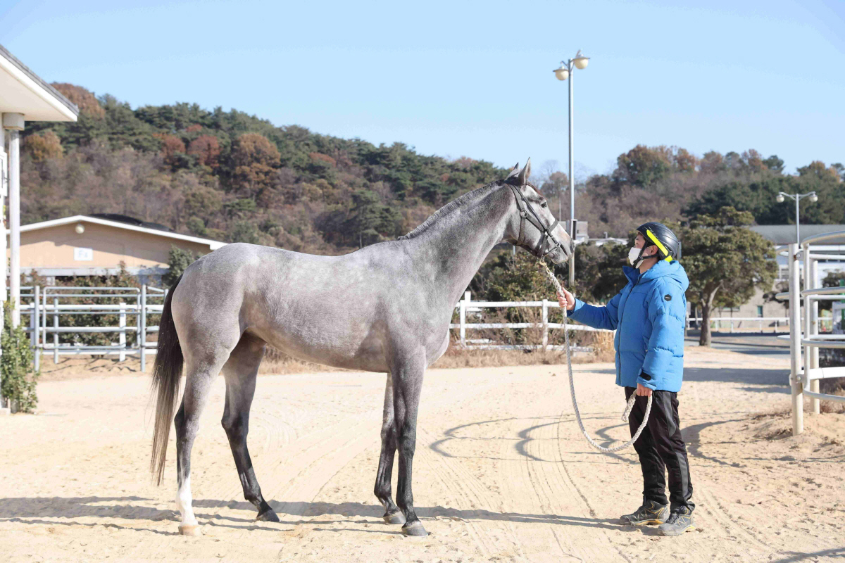 [경마]렛츠런파크 부산경남, 10일 시리즈 최종전 '브리더스컵 루키& 퀸…