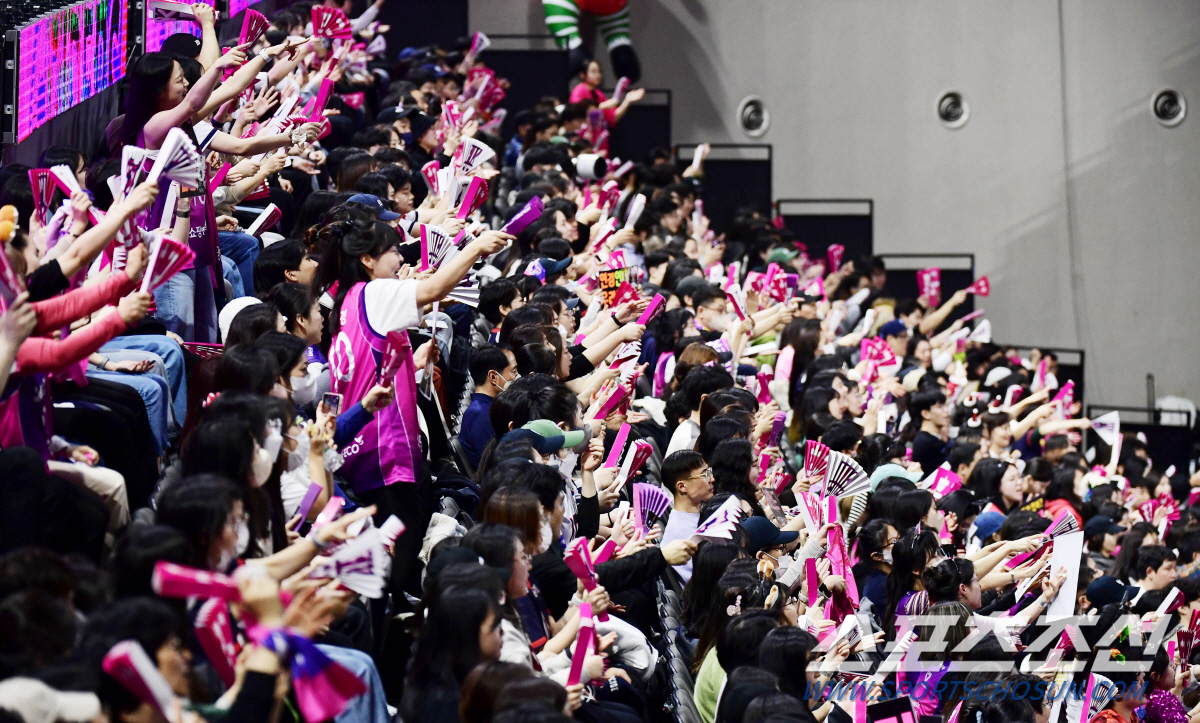 열정적인 응원을 펼치고 있는 흥국생명 배구팬들.